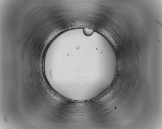 X0000096211043200802081457