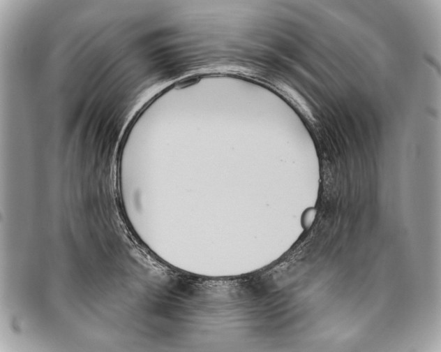 X0000096211044200802081457