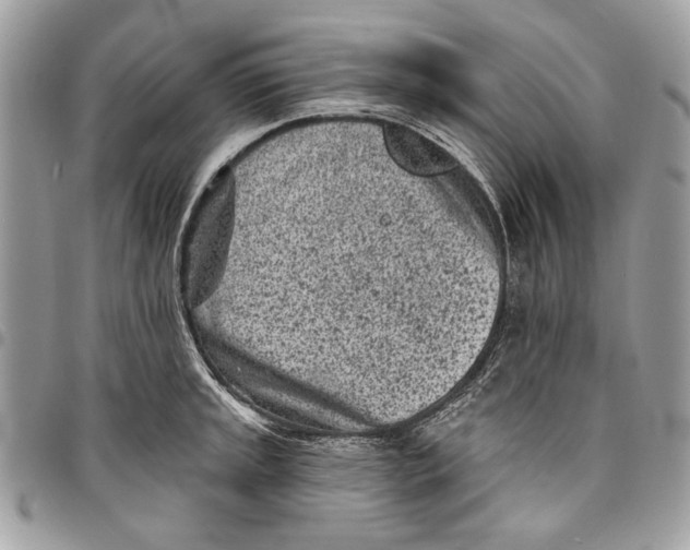 X0000096211045200802081457