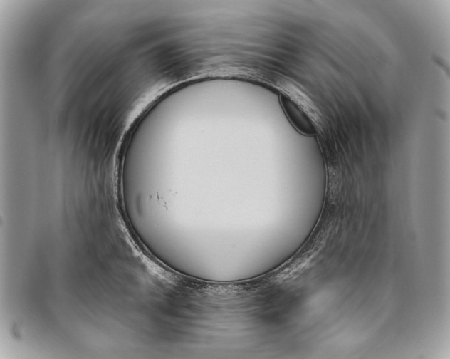 X0000096211046200802081457