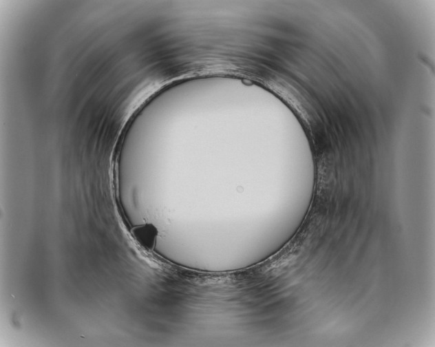 X0000096211047200802081457