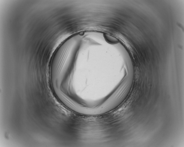 X0000096211048200802081457