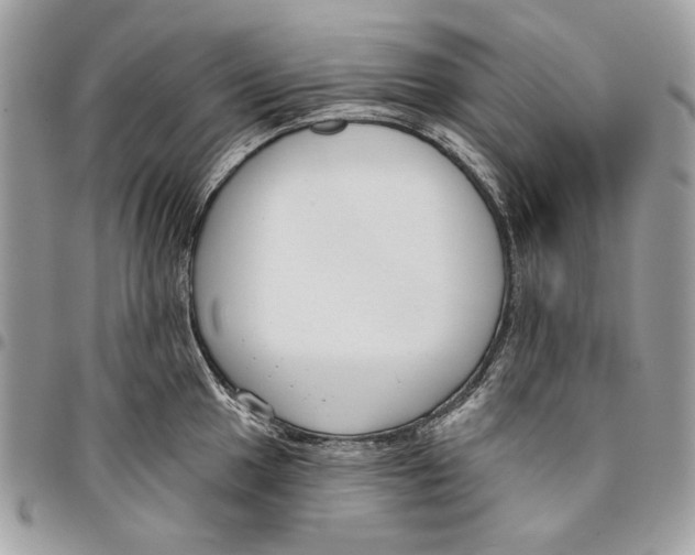 X0000096211049200802081457