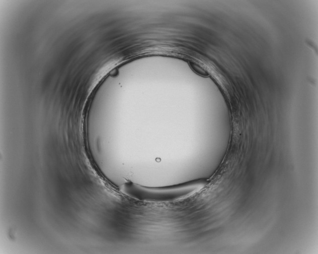 X0000096211050200802081457