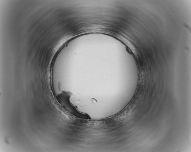 X0000096211051200802081457