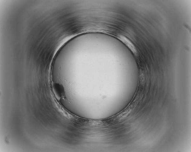 X0000096211052200802081457