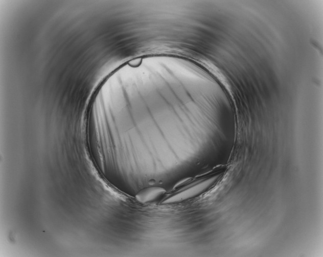 X0000096211053200802081457