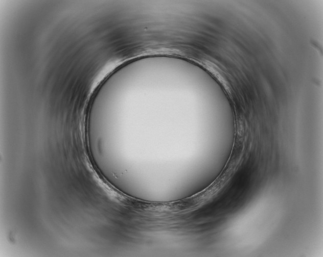 X0000096211054200802081457