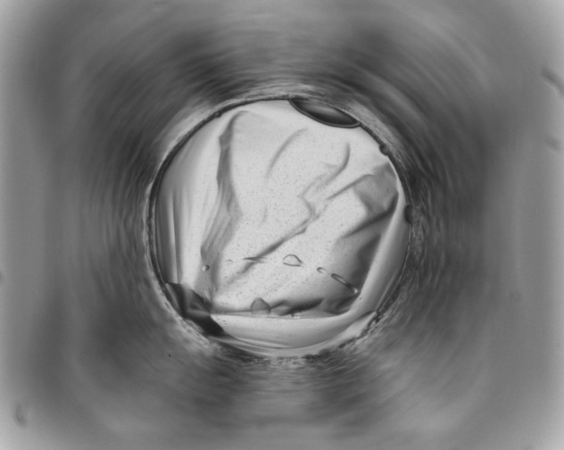 X0000096211055200802081457