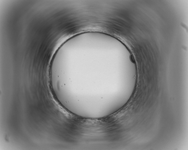 X0000096211056200802081457