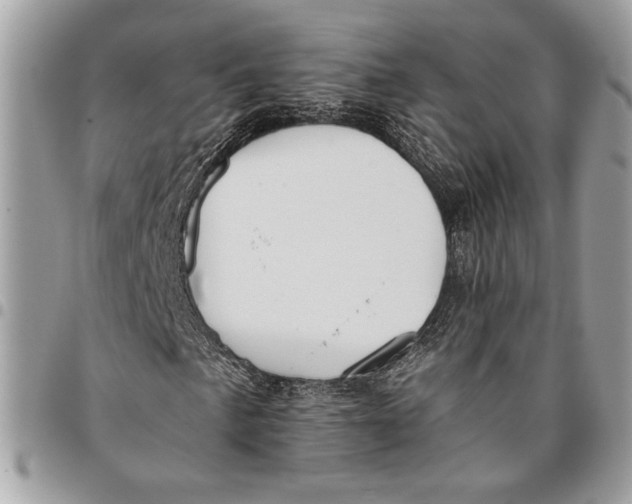 X0000096211057200802081456