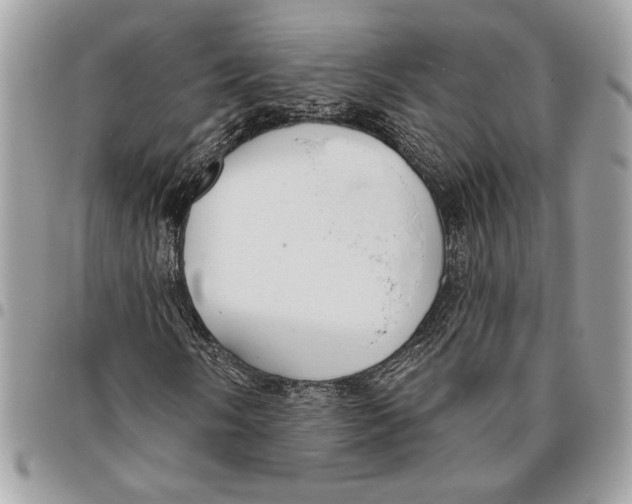 X0000096211058200802081456