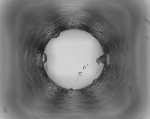 X0000096211059200802081456