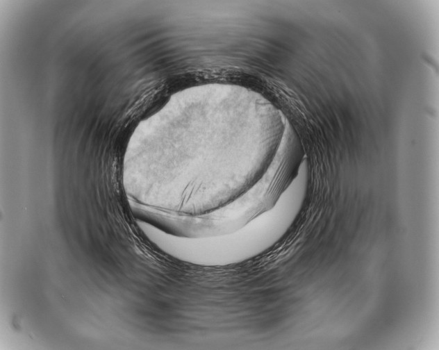 X0000096211060200802081456