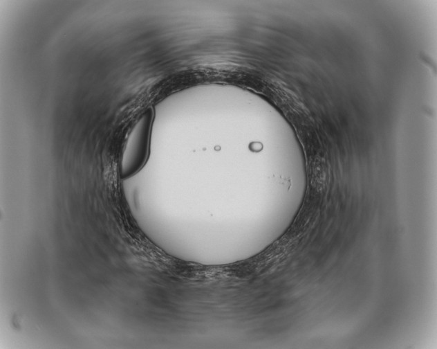 X0000096211061200802081456