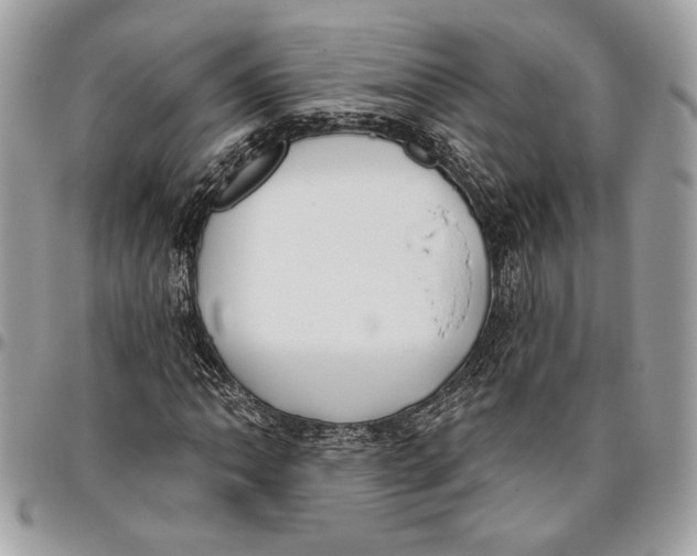 X0000096211062200802081456