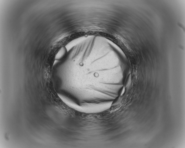 X0000096211063200802081456