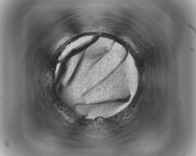 X0000096211064200802081456