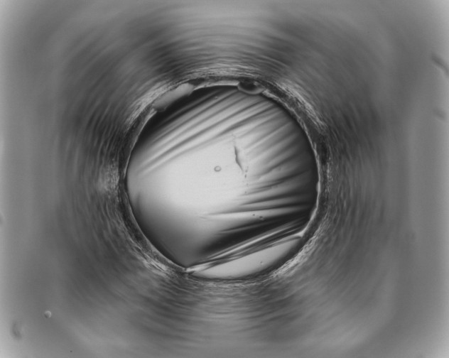 X0000096211065200802081456