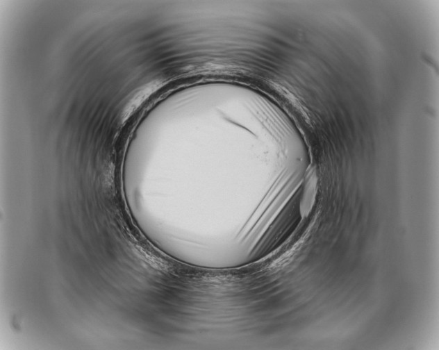 X0000096211066200802081456