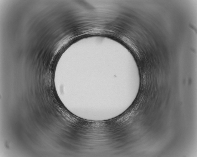 X0000096211067200802081456