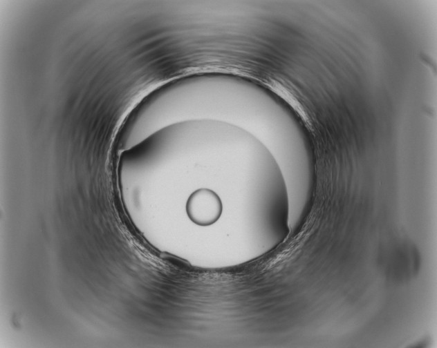 X0000096211068200802081456