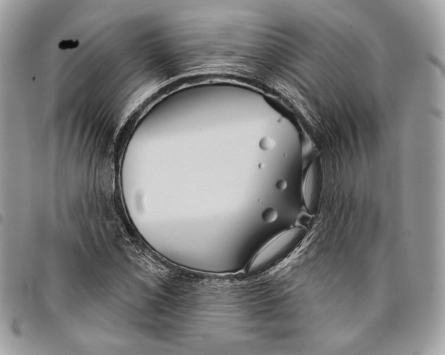 X0000096211069200802081456