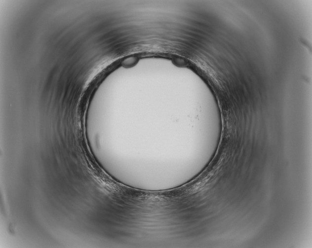 X0000096211070200802081456