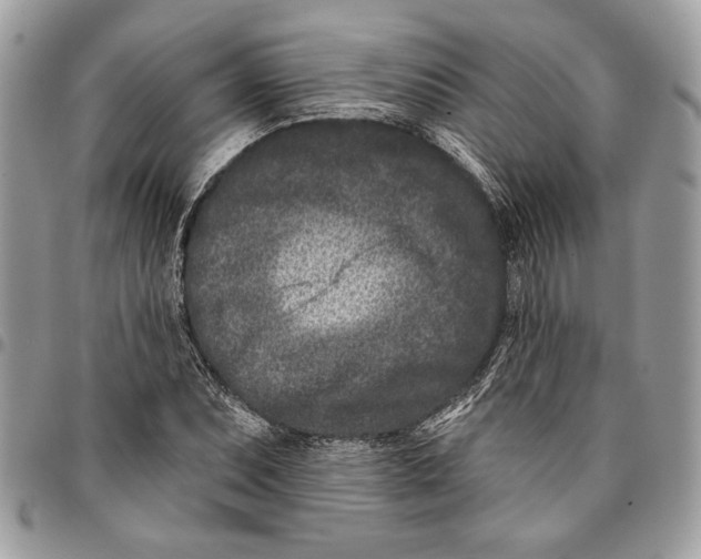 X0000096211071200802081456