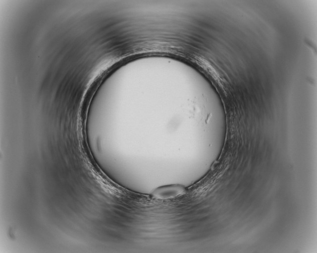 X0000096211072200802081456