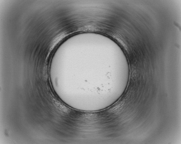 X0000096211075200802081456