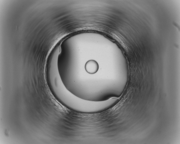 X0000096211076200802081456