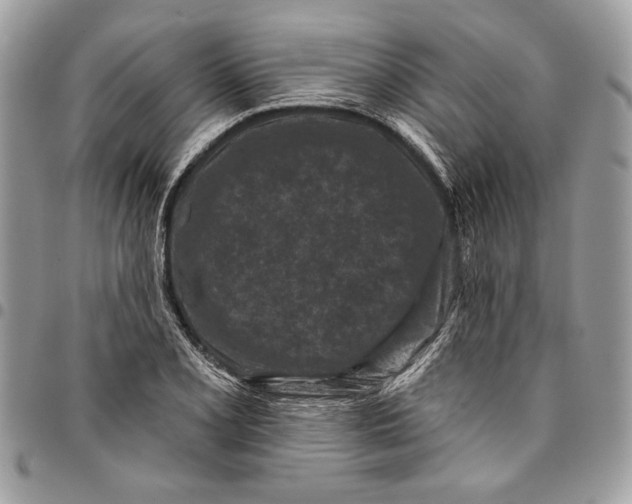 X0000096211077200802081456