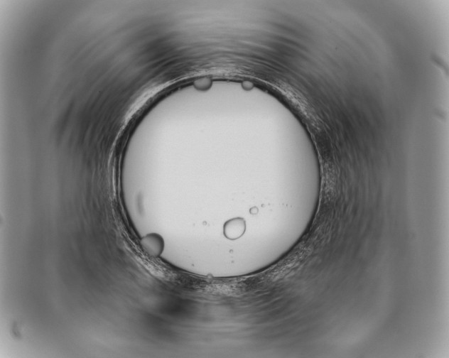 X0000096211078200802081456