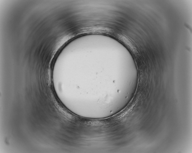 X0000096211079200802081456