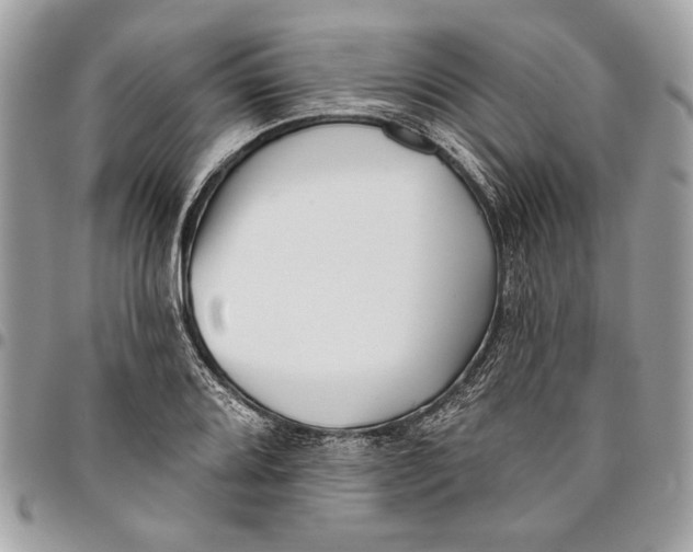 X0000096211080200802081456