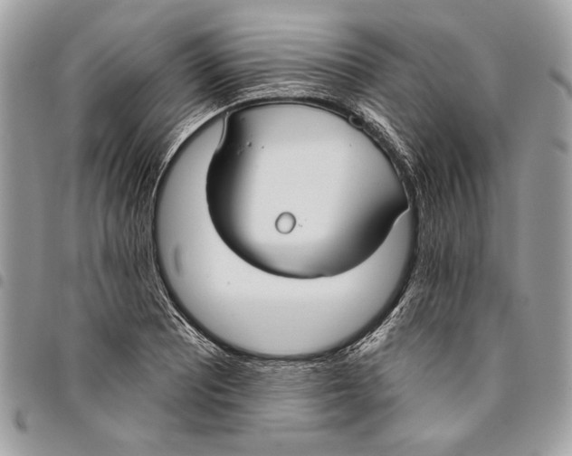 X0000096211081200802081456