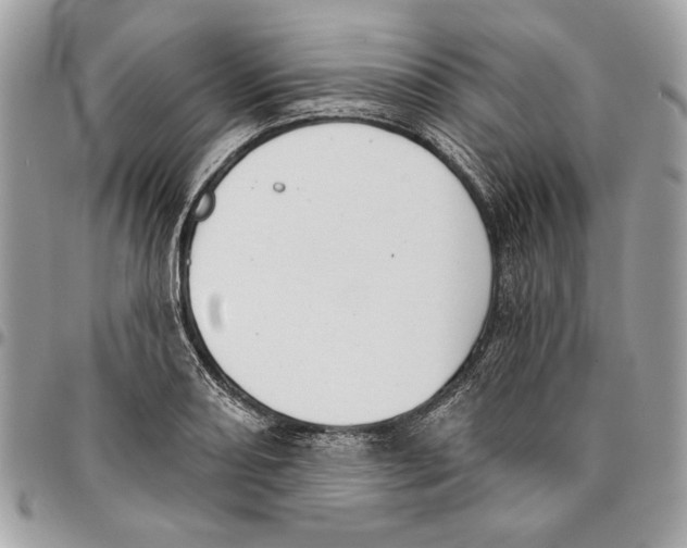 X0000096211082200802081456