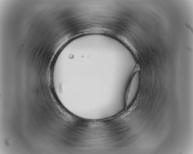 X0000096211083200802081456