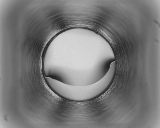 X0000096211084200802081456