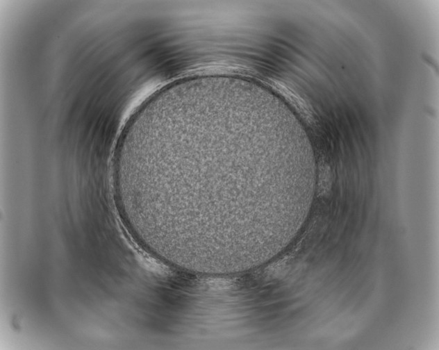 X0000096211086200802081456