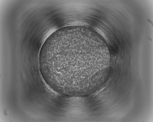 X0000096211087200802081456