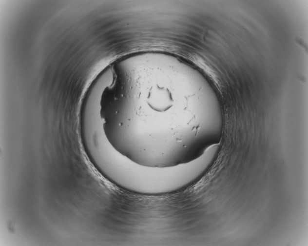 X0000096211088200802081456