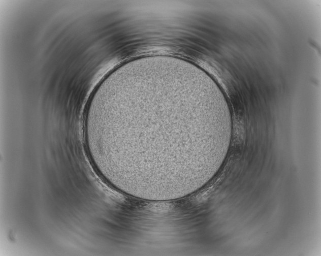 X0000096211090200802081456