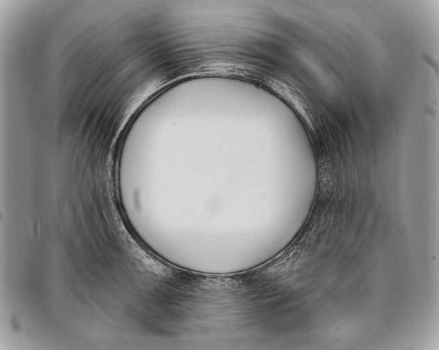 X0000096211091200802081456