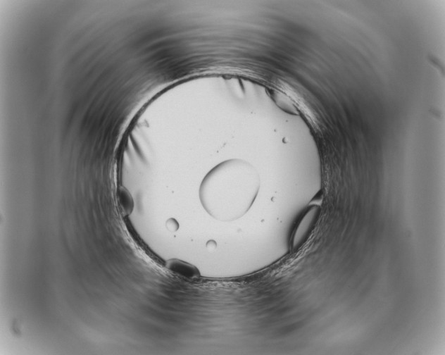 X0000096211092200802081456