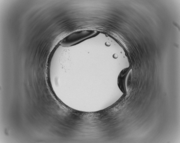 X0000096211093200802081456