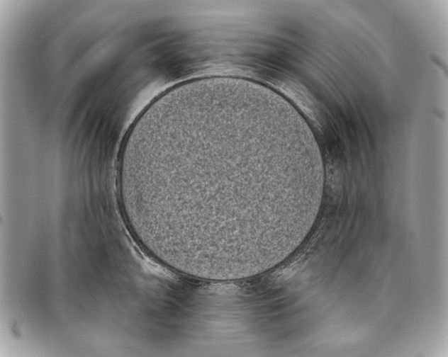 X0000096211094200802081456