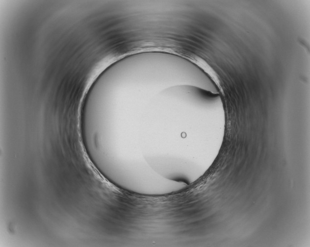 X0000096211096200802081456