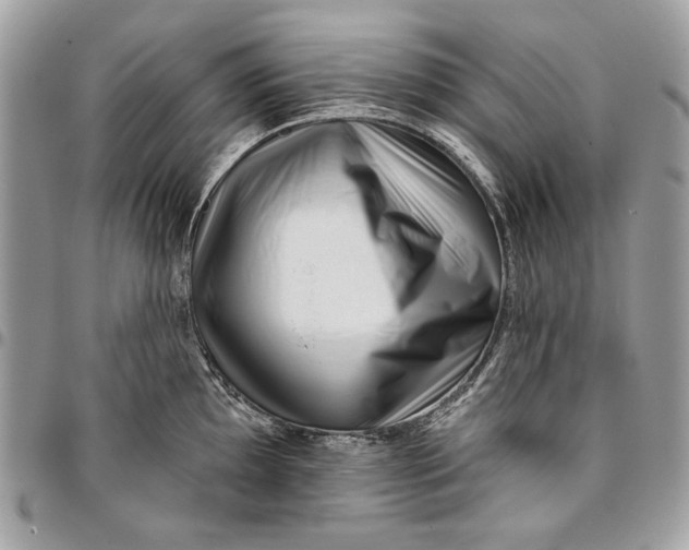 X0000096211097200802081456